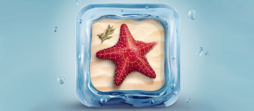 How to Design a Nice Starfish App Icon