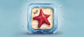 How to Design a Nice D Starfish App Icon L