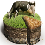 Making a Special Pie Chart in Farming Style