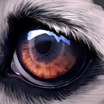 Create a Realistic Eye Nicely