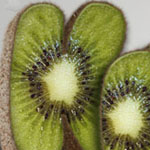 Making a Fruity Text in Photoshop