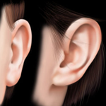 Workthrough for Drawing a Realistic Human Ear