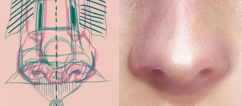 Drawing a Realistic Nose Tutorial L