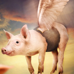 Manipulating a Funny Flying Pig Scene