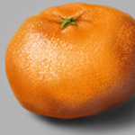 Work Through for Drawing a Mandarin