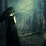 Manipulating a Dark and Mysterious Forest