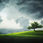 How to Add Watermark Signs to Photos in Photoshop icon